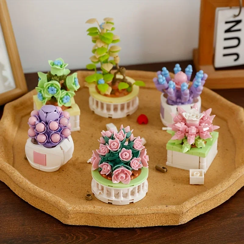 Echeveria Succulent - Blokkenset Stad DIY Potplanten Vetplanten Cactus