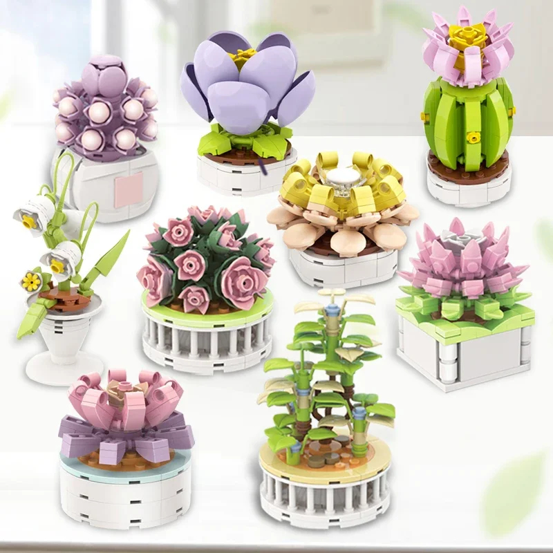 Blokkenset Stad DIY Potplanten - Echeveria Succulent recensie en prijs