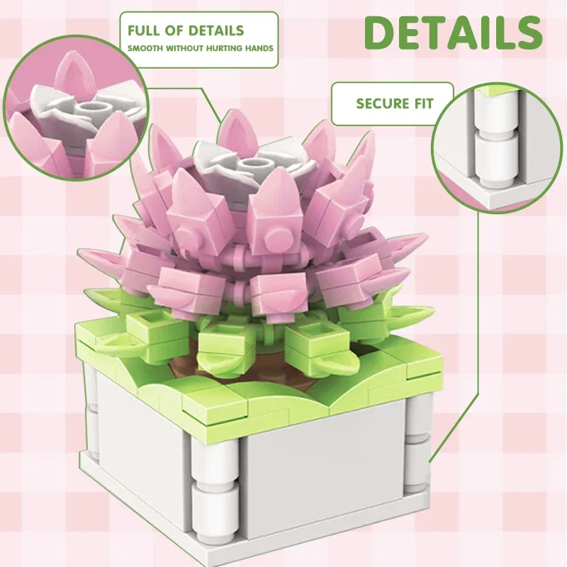 Blokkenset Stad DIY Potplanten - Echeveria Succulent recensie en prijs