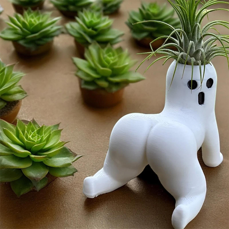Grappige Big Booty Ghost Plant - Echeveria Succulent recensie en prijs
