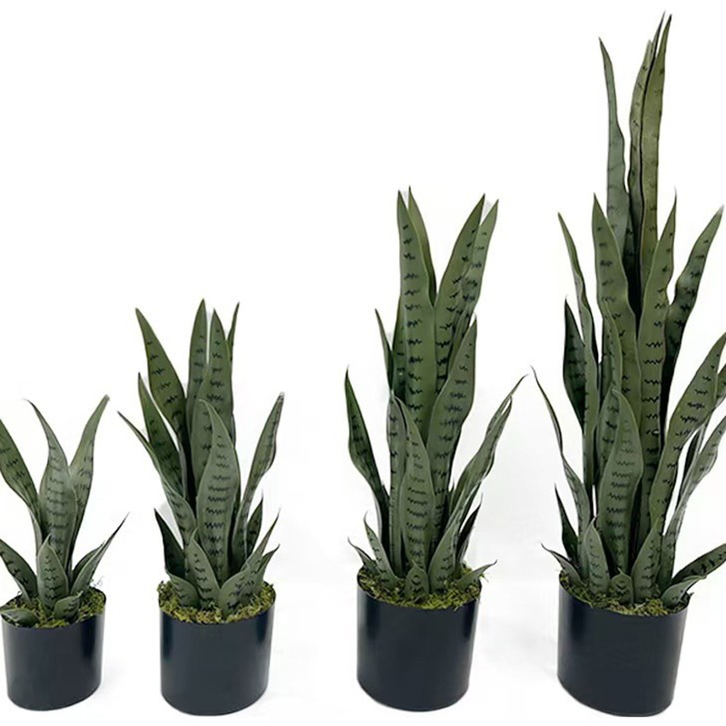 40-100cm Kunstmatige Sansevier - Ficus Lyrata Tree recensie en prijs