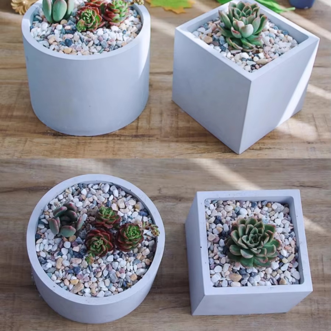 15cm grote ronde betonnen bloe - Echeveria Succulent recensie en prijs