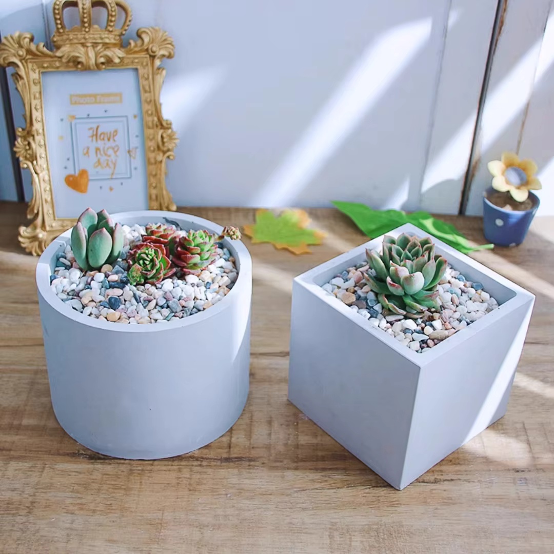 15cm grote ronde betonnen bloe - Echeveria Succulent recensie en prijs