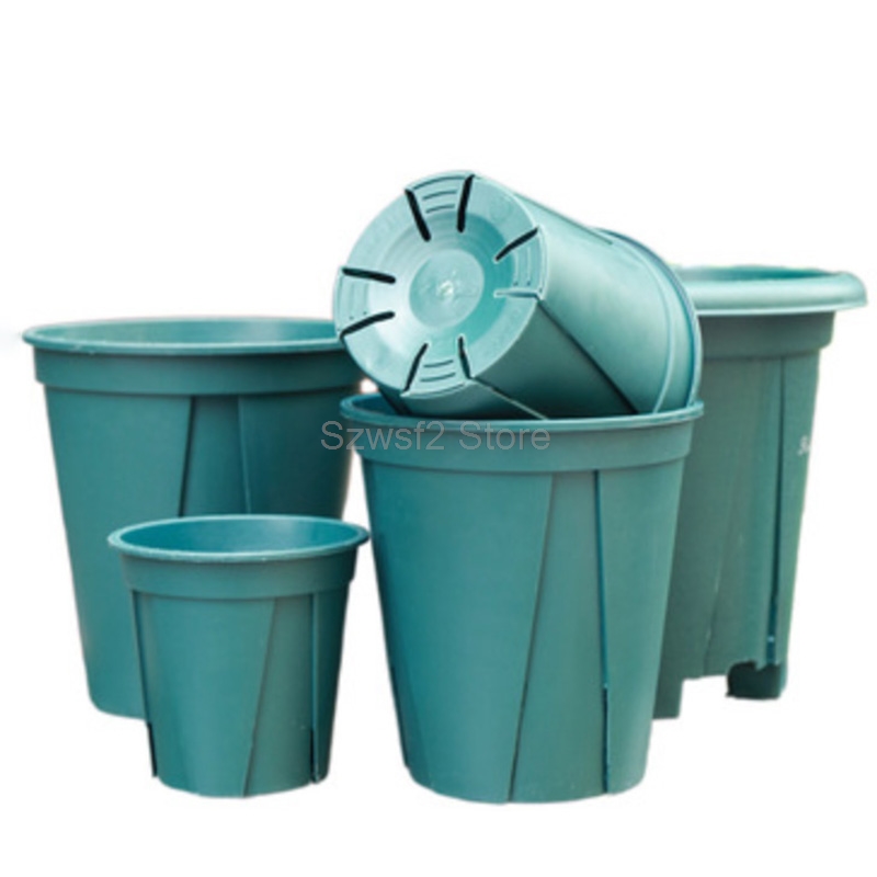 5/10 stuks groene plastic plan - Echeveria Succulent recensie en prijs