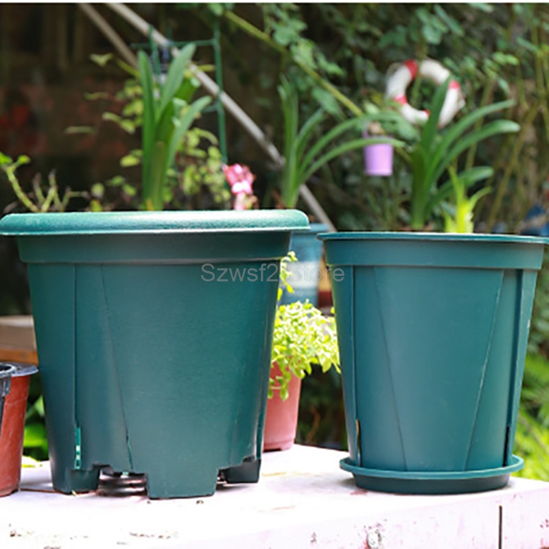 5/10 stuks groene plastic plan - Echeveria Succulent recensie en prijs